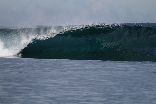 On The Mark in Indo